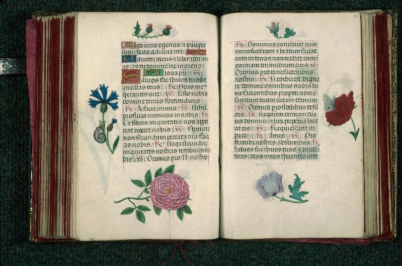 Rouen, Bibl. mun., ms. 3028, f. 175v-176