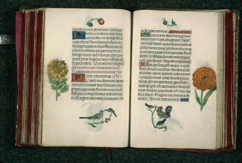 Rouen, Bibl. mun., ms. 3028, f. 185v-186