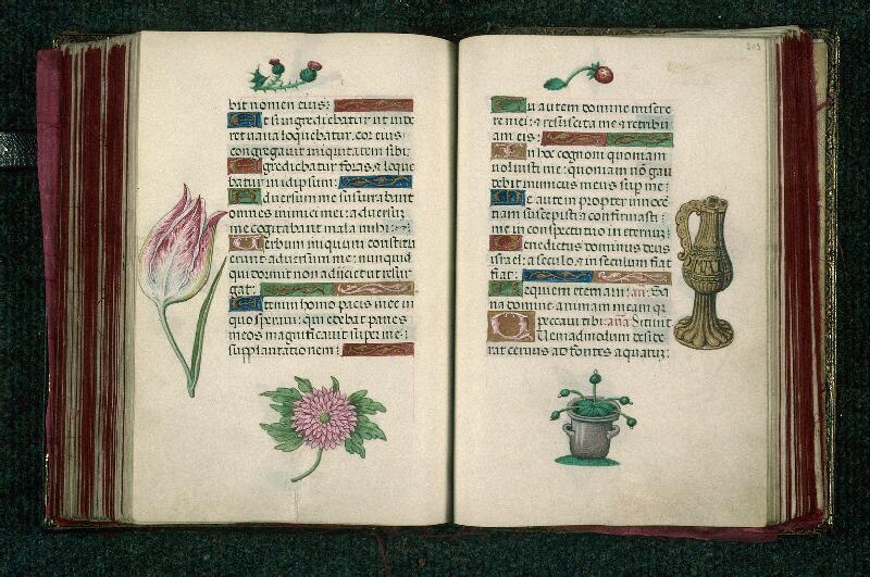 Rouen, Bibl. mun., ms. 3028, f. 202v-203