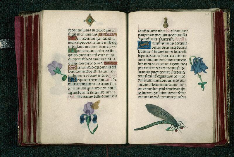 Rouen, Bibl. mun., ms. 3028, f. 204v-205