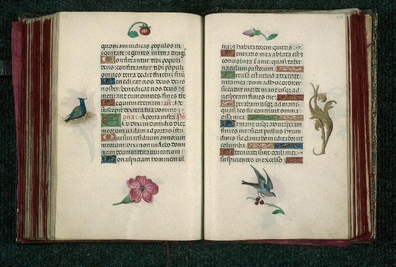 Rouen, Bibl. mun., ms. 3028, f. 210v-211
