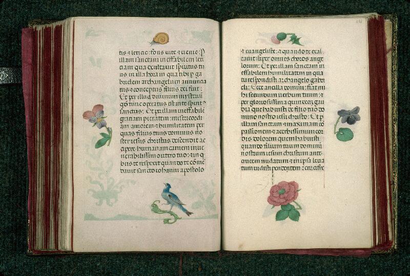 Rouen, Bibl. mun., ms. 3028, f. 217v-218