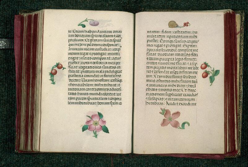 Rouen, Bibl. mun., ms. 3028, f. 219v-220