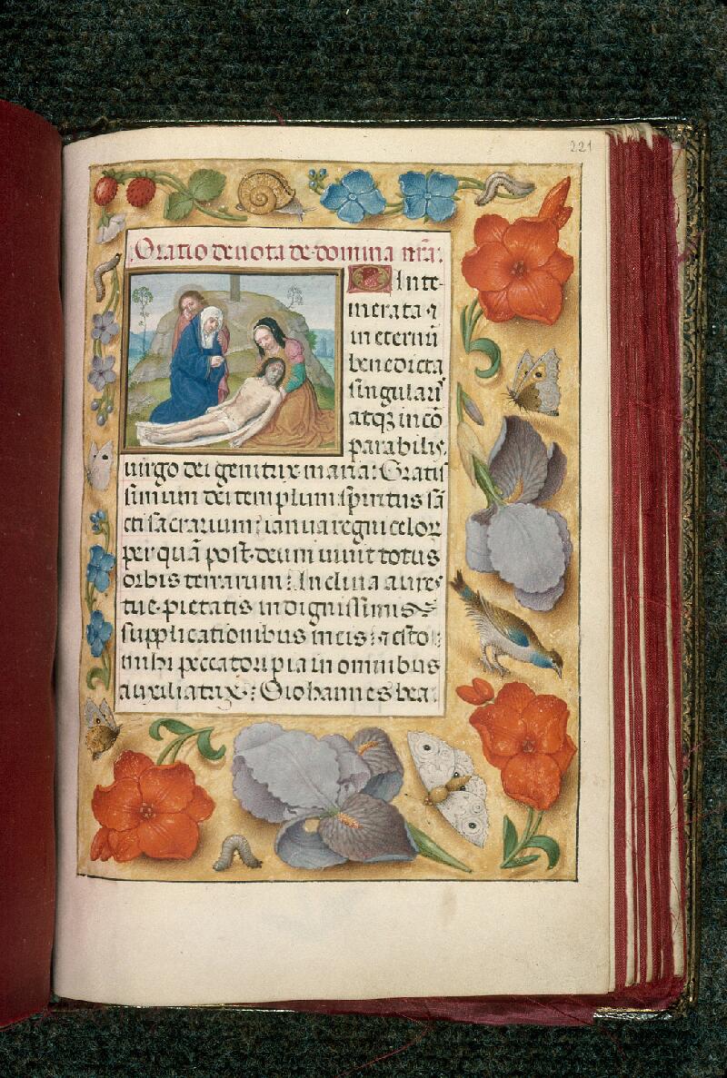 Rouen, Bibl. mun., ms. 3028, f. 221 - vue 1