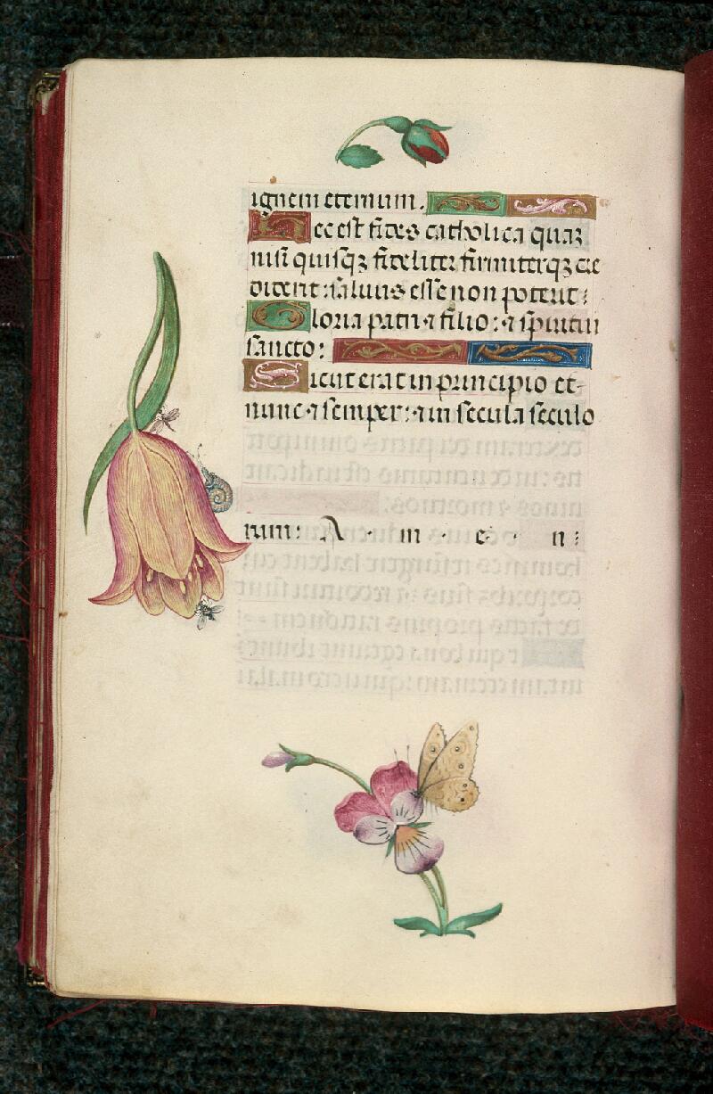 Rouen, Bibl. mun., ms. 3028, f. 228v - vue 1