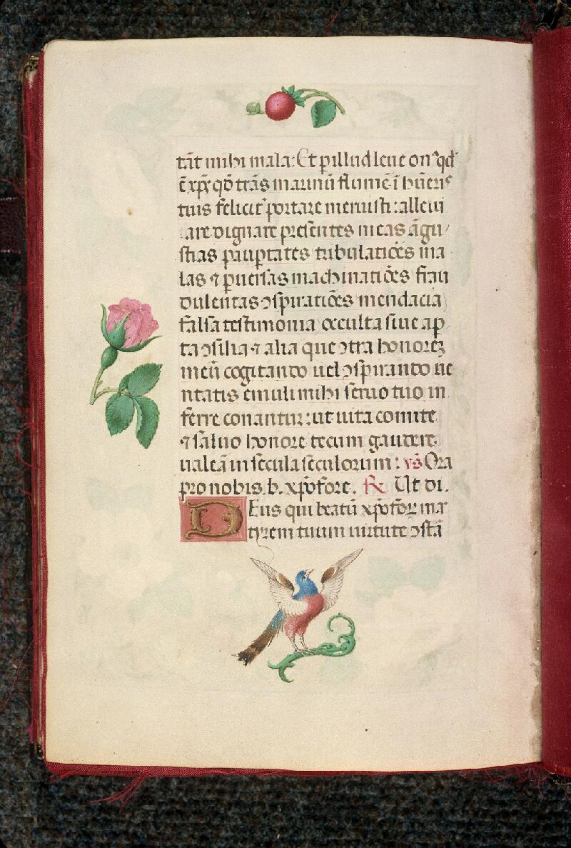 Rouen, Bibl. mun., ms. 3028, f. 236v