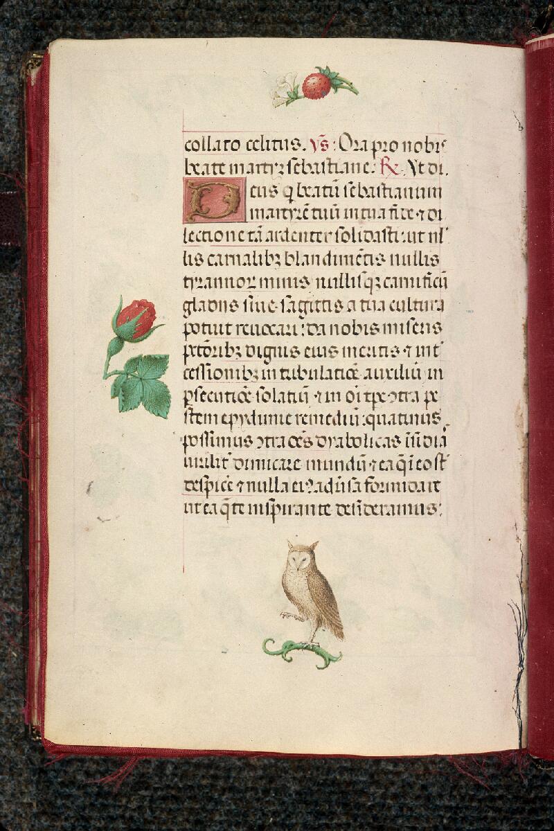 Rouen, Bibl. mun., ms. 3028, f. 237v - vue 1