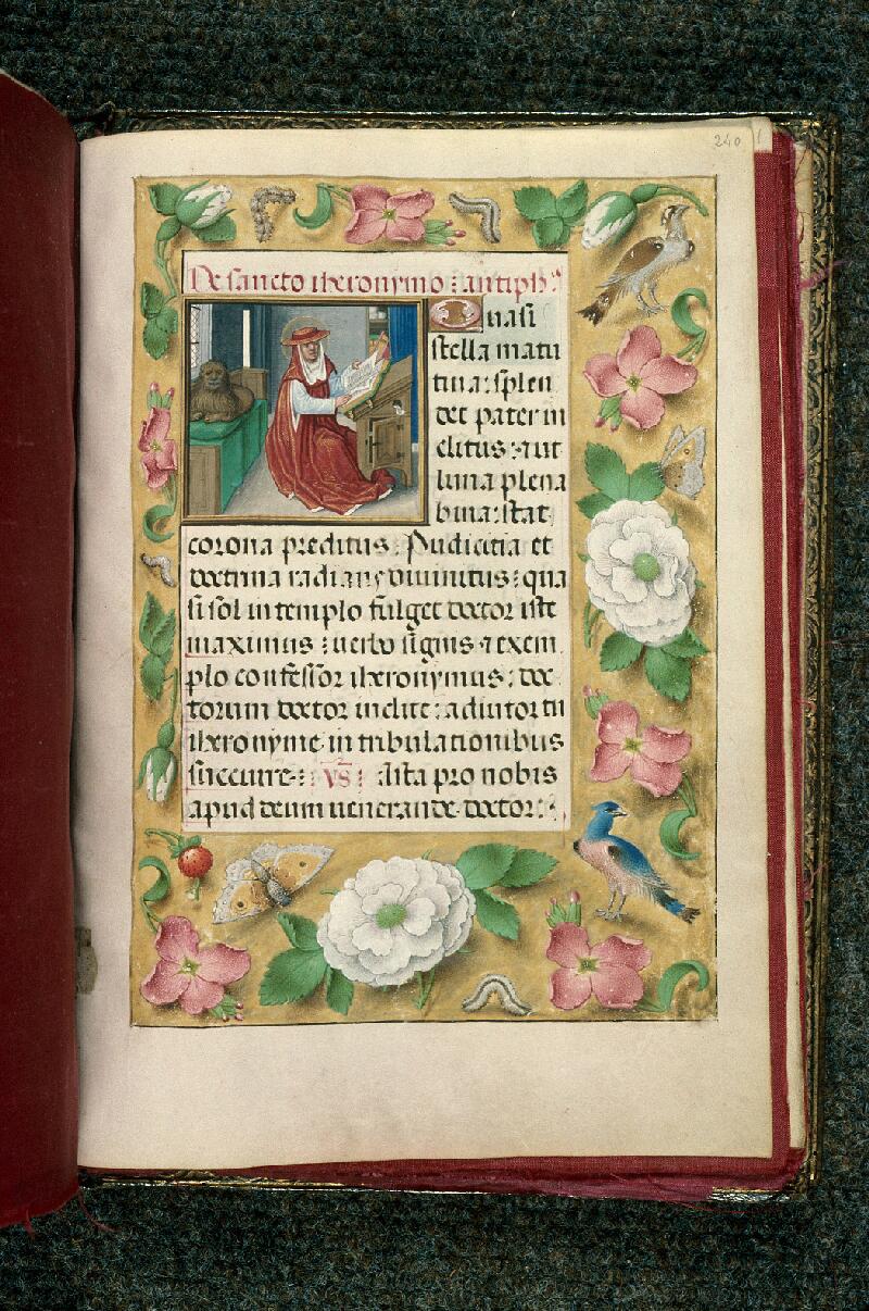 Rouen, Bibl. mun., ms. 3028, f. 240 - vue 1