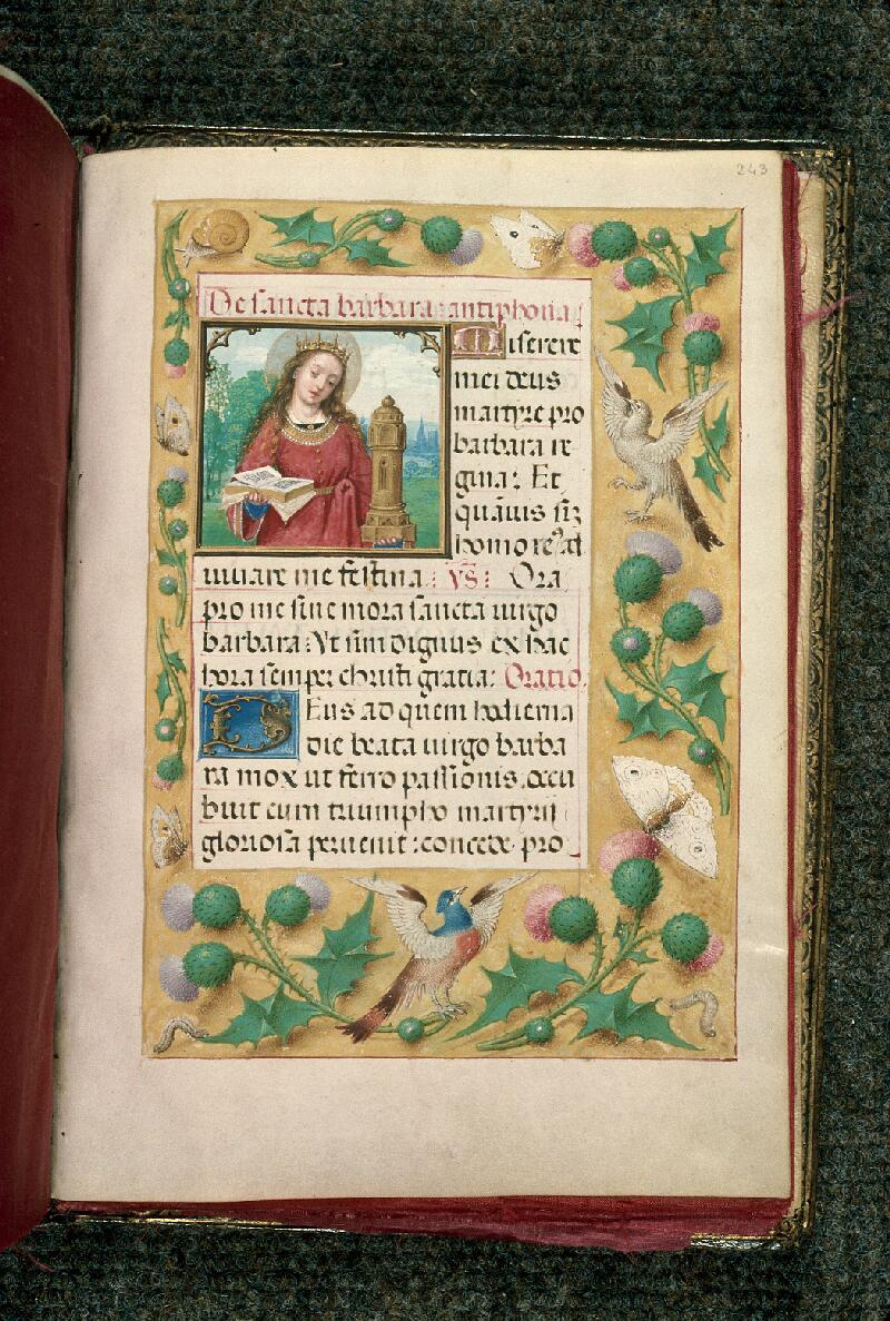 Rouen, Bibl. mun., ms. 3028, f. 243 - vue 1