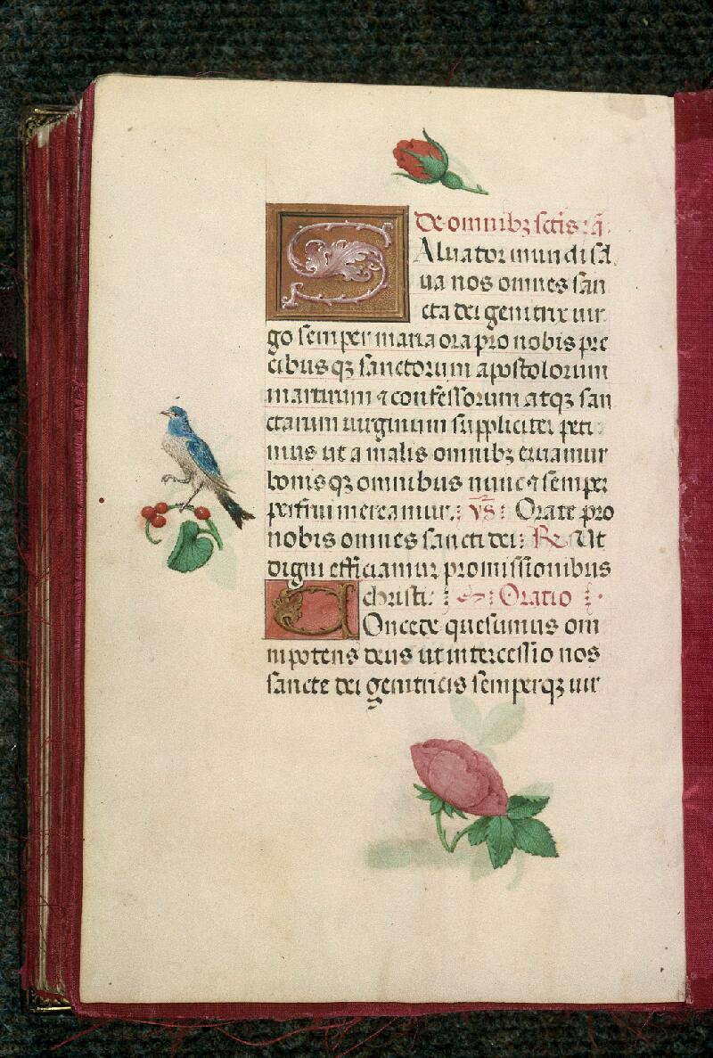 Rouen, Bibl. mun., ms. 3028, f. 246v