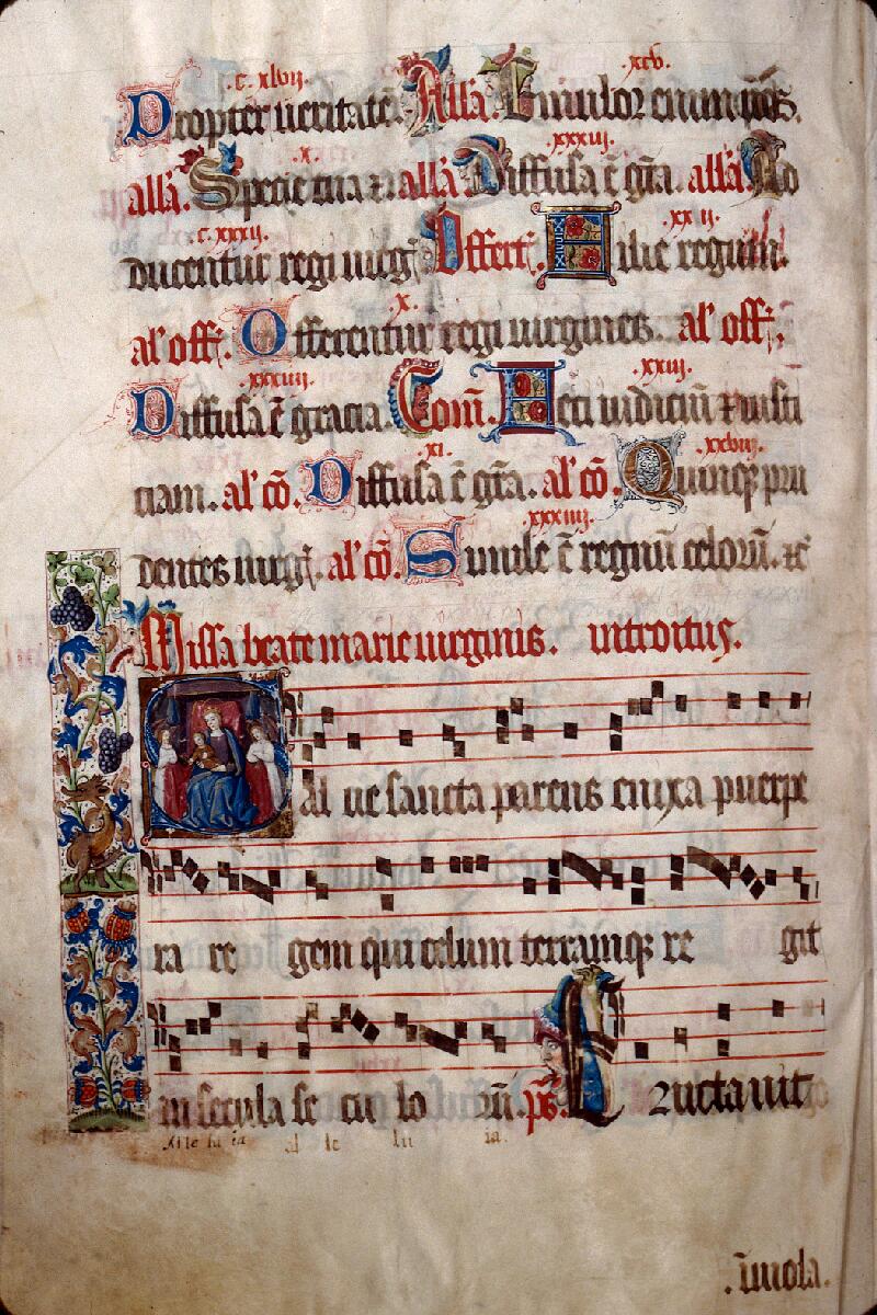 Saint-Dié, Bibl. mun., ms. 0074, f. 356v - vue 1