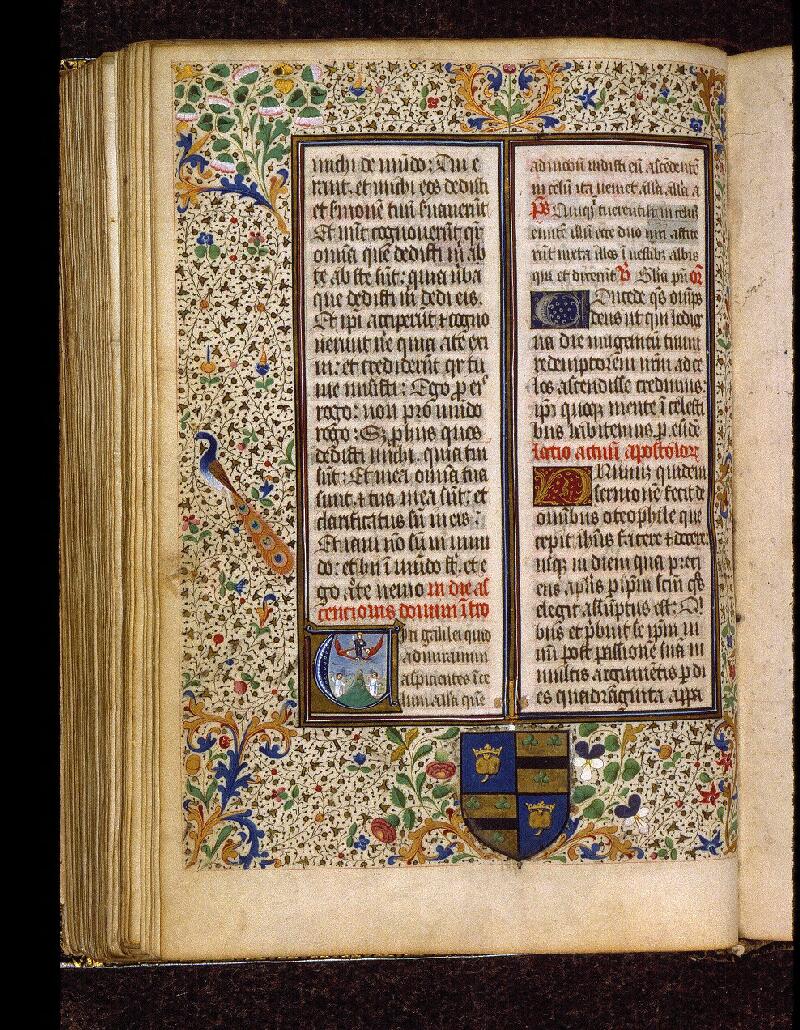 Solesmes, Bibl. abbaye Saint-Pierre, ms. 0215, f. 165v - vue 1