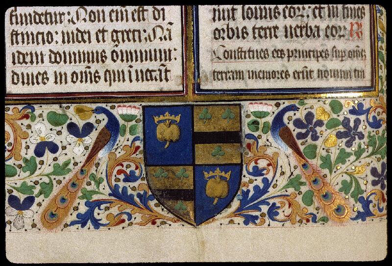 Solesmes, Bibl. abbaye Saint-Pierre, ms. 0215, f. 198v - vue 3