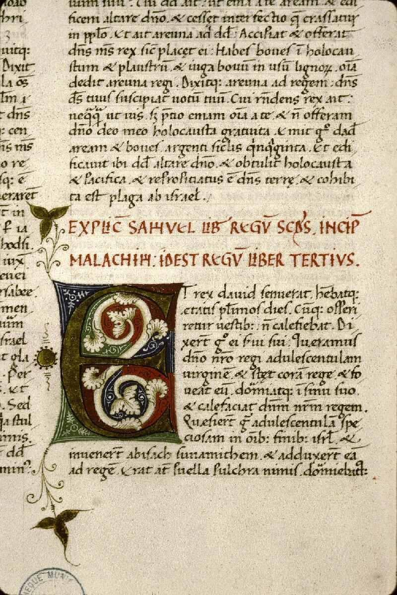 Toulon, Bibl. mun., ms. 0001, f. 081v - vue 2