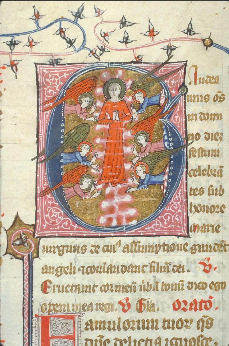 Toulouse, Bibl. mun., ms. 0091, f. 204