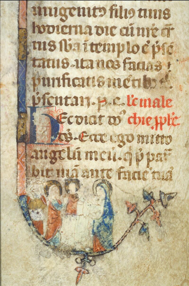 Toulouse, Bibl. mun., ms. 0092, f. 229