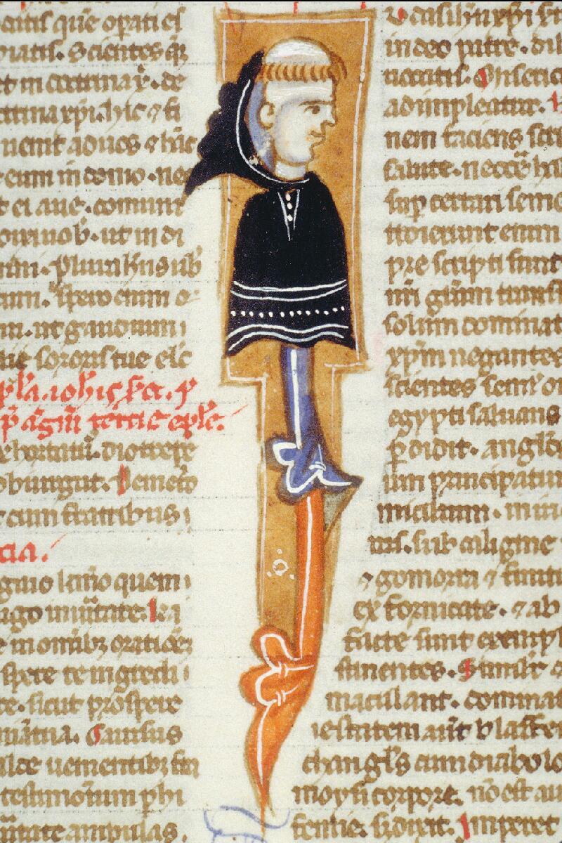Toulouse, Bibl. mun., ms. 0014, f. 194v - vue 2