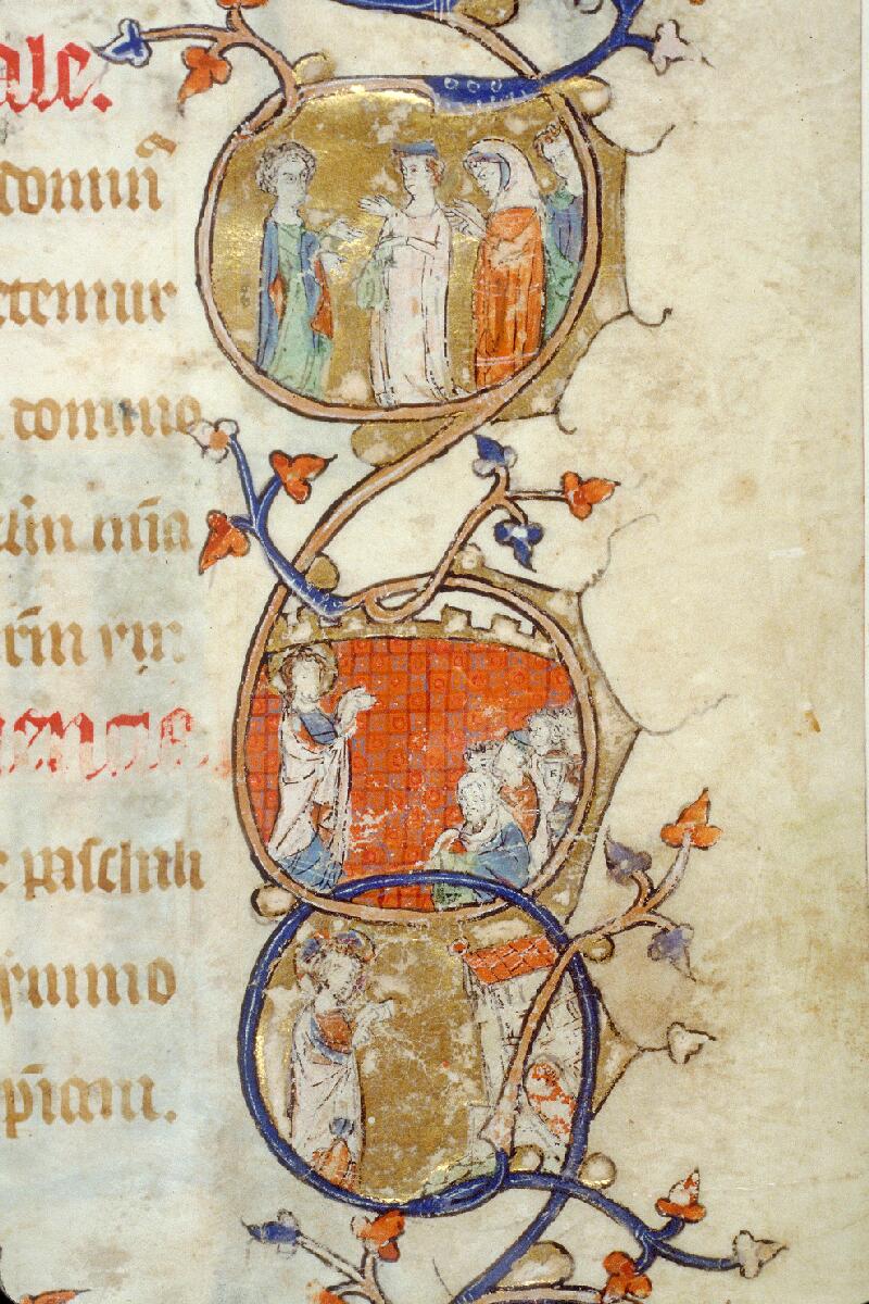 Toulouse, Bibl. mun., ms. 0090, f. 204 - vue 11