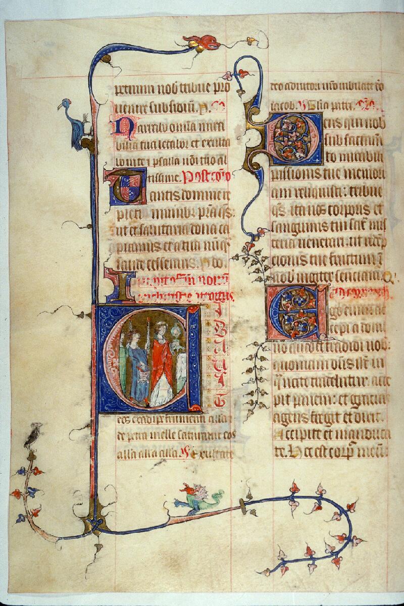 Toulouse, Bibl. mun., ms. 0090, f. 246v - vue 1