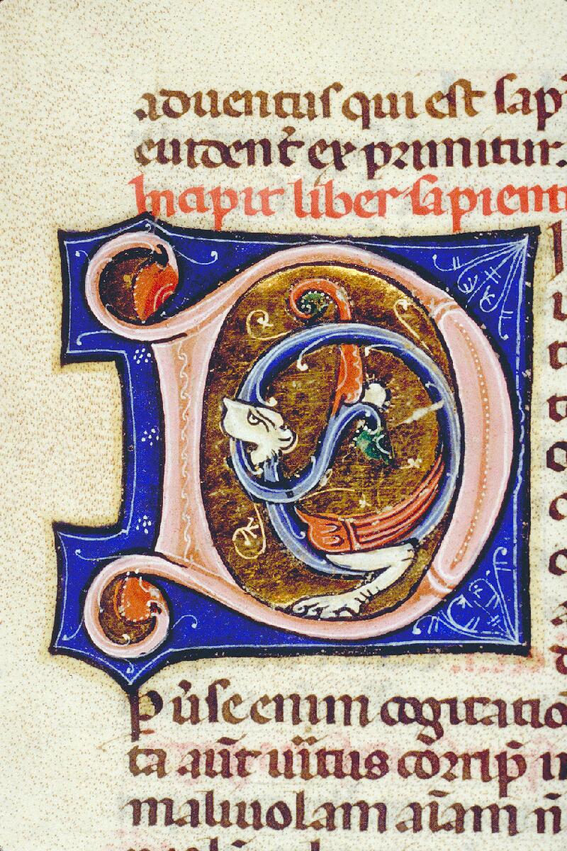 Toulouse, Bibl. mun., ms. 0013, f. 201v