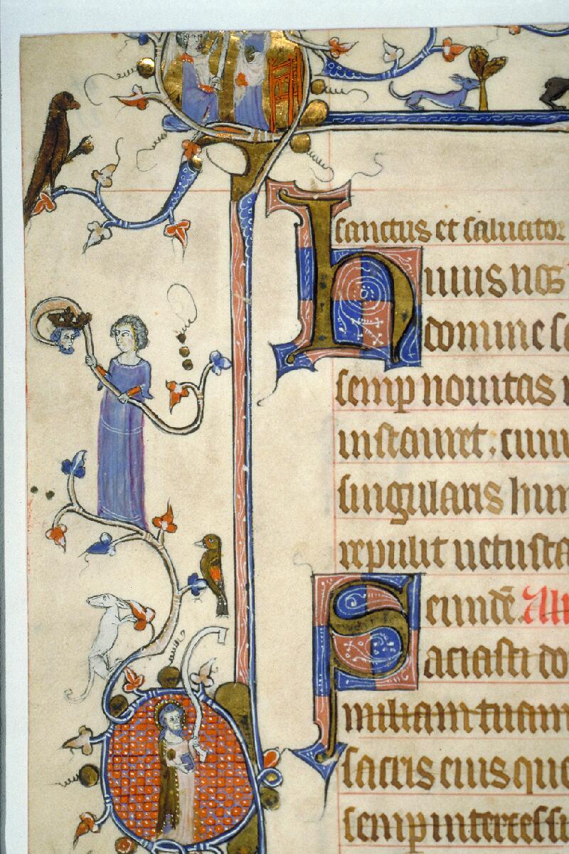 Toulouse, Bibl. mun., ms. 0090, f. 021v - vue 06