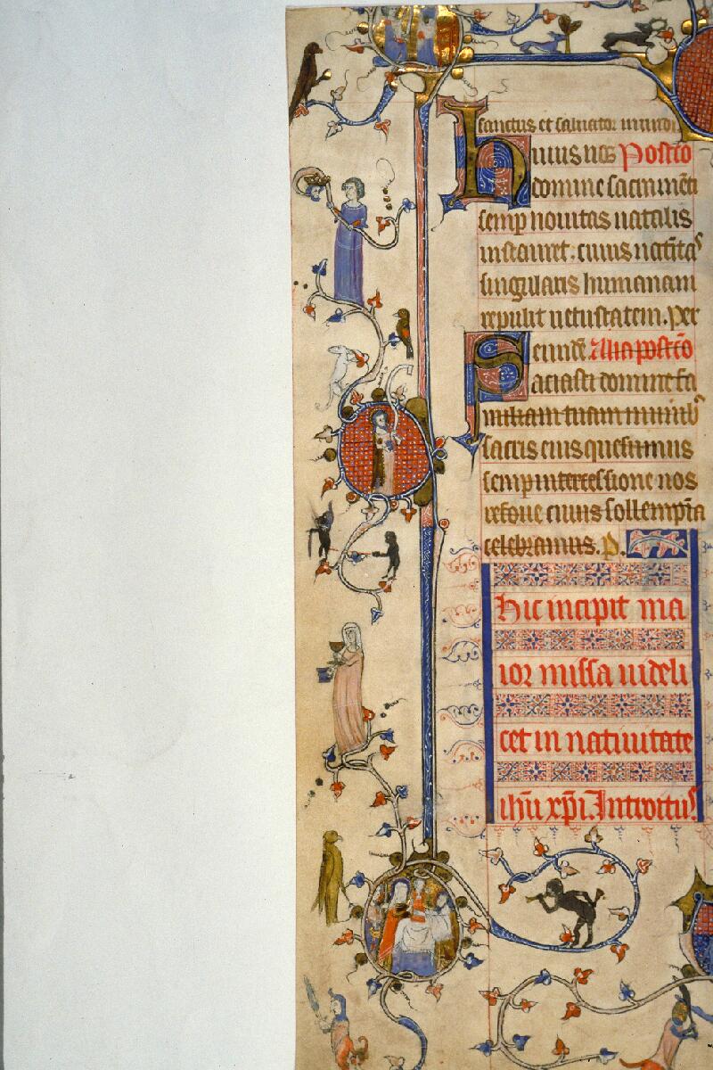 Toulouse, Bibl. mun., ms. 0090, f. 021v - vue 11