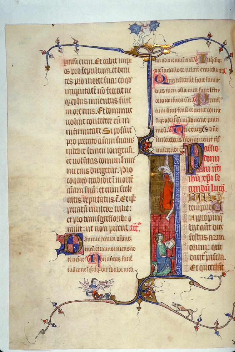 Toulouse, Bibl. mun., ms. 0090, f. 144v - vue 1