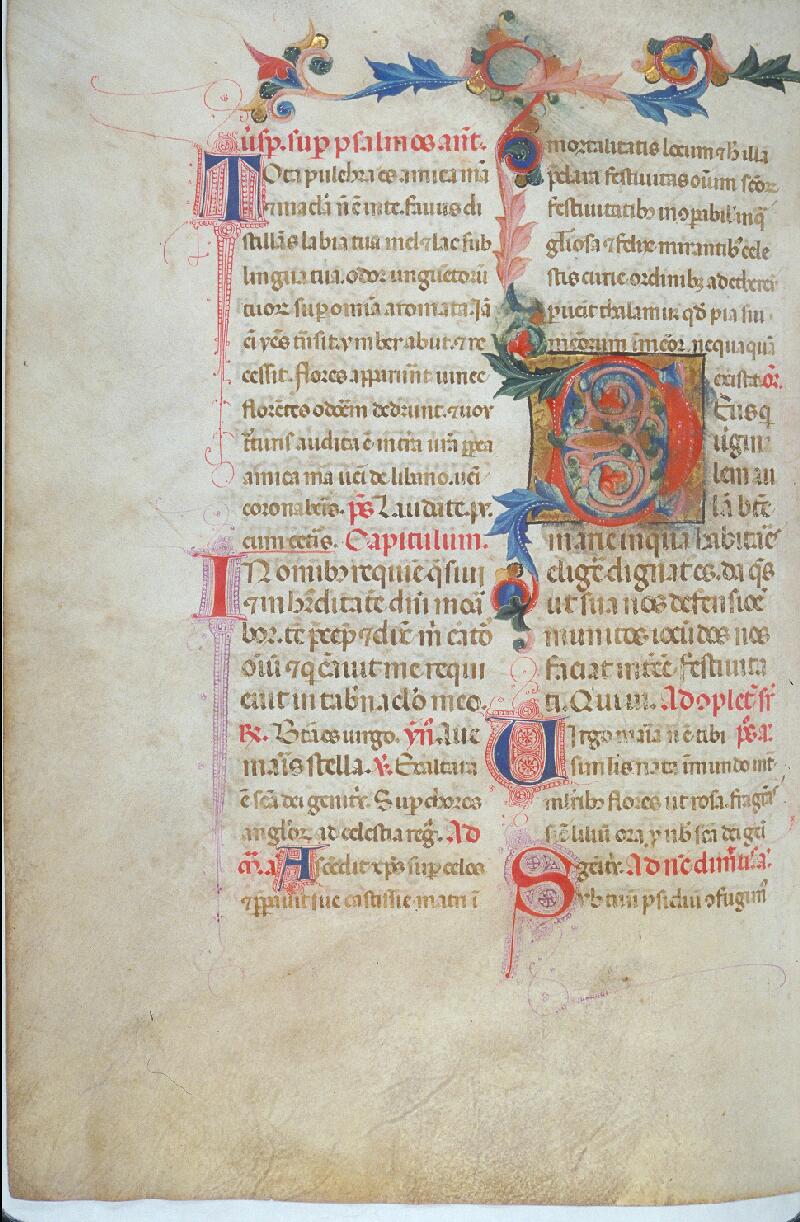 Toulouse, Bibl. mun., ms. 0077, f. 300v - vue 1