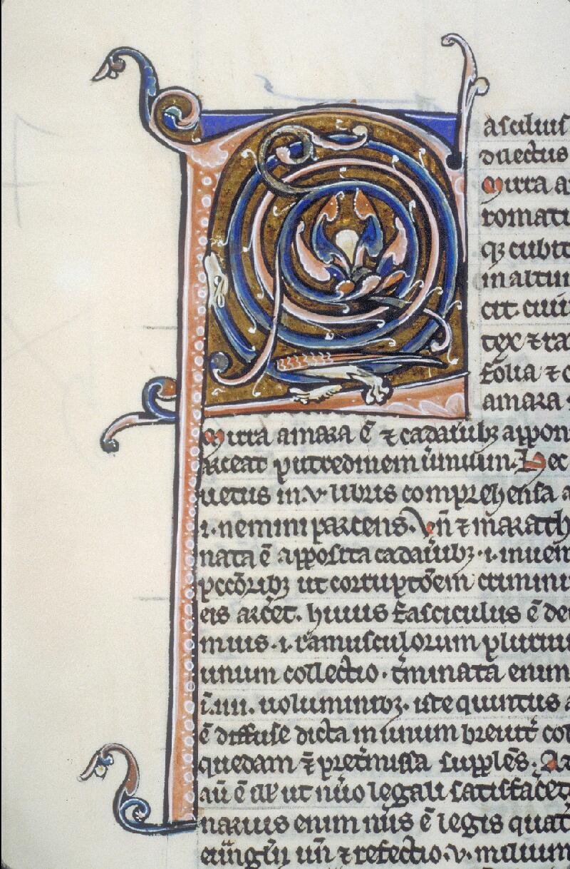 Toulouse, Bibl. mun., ms. 0019, f. 220