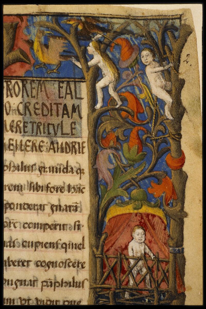 Toulouse, Bibl. mun., ms. 0803, f. 002 - vue 3