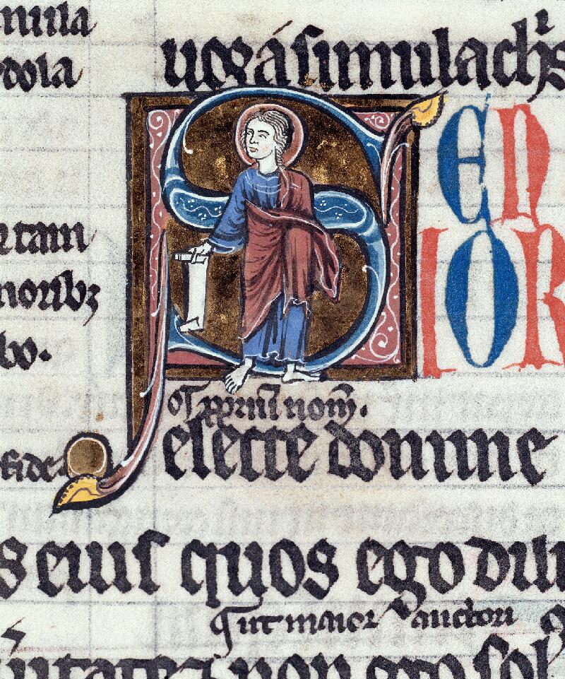 Troyes, Bibl. mun., ms. 0083, f. 217v - vue 2