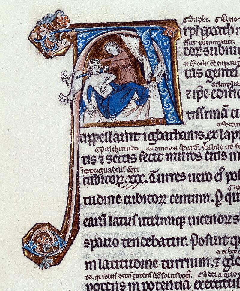 Troyes, Bibl. mun., ms. 0106, f. 119 - vue 2