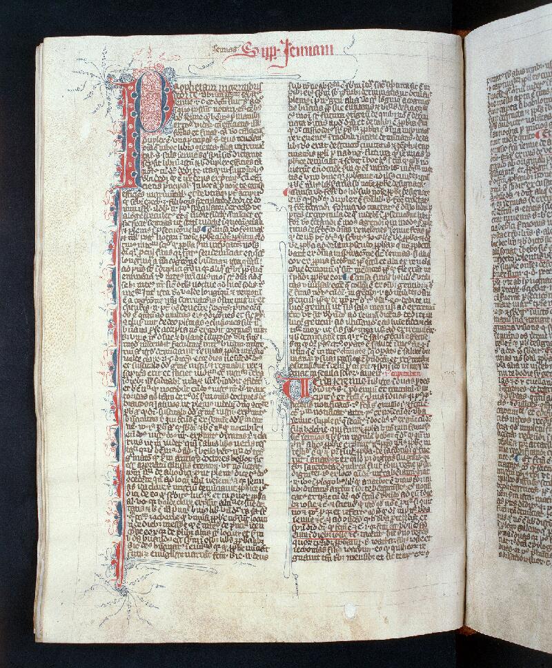 Troyes, Bibl. mun., ms. 0152, f. 245v - vue 1