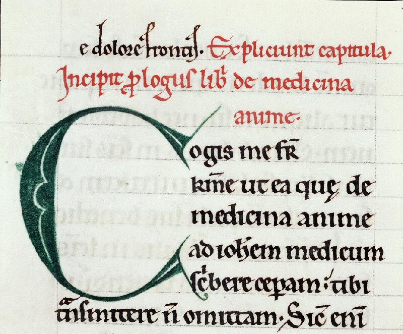 Troyes, Bibl. mun., ms. 0177, f. 111v - vue 2