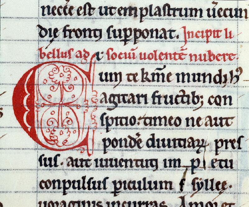 Troyes, Bibl. mun., ms. 0177, f. 124 - vue 2