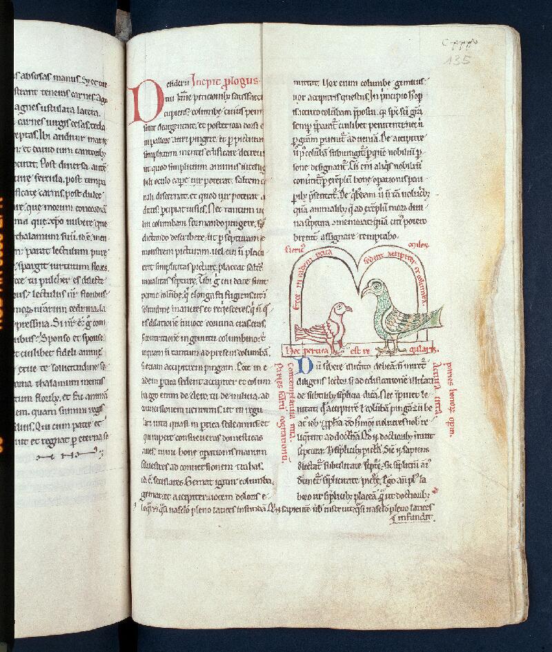 Troyes, Bibl. mun., ms. 0177, f. 135 - vue 1