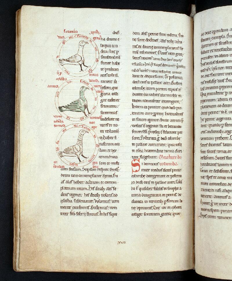 Troyes, Bibl. mun., ms. 0177, f. 136v - vue 1