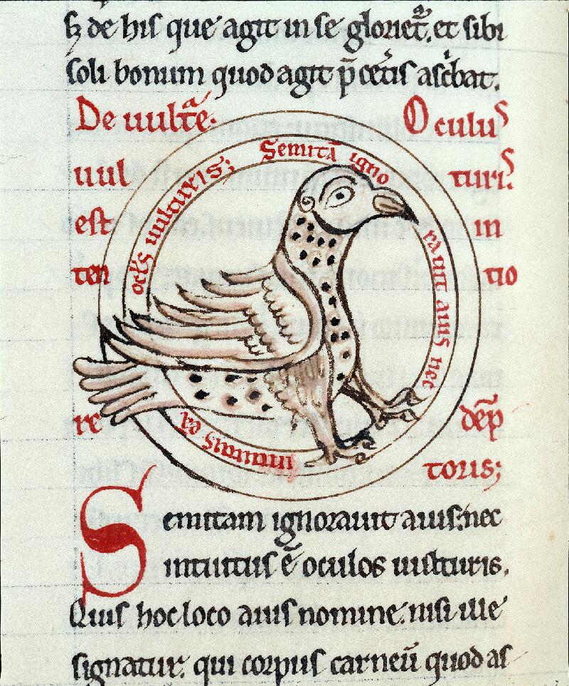 Troyes, Bibl. mun., ms. 0177, f. 150v - vue 2