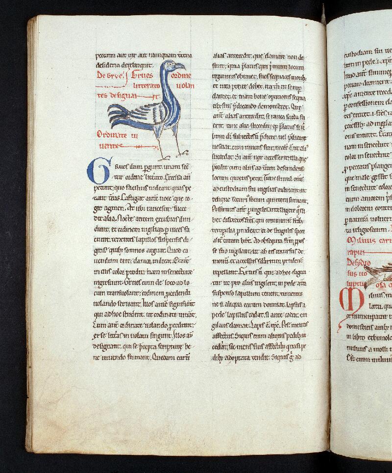 Troyes, Bibl. mun., ms. 0177, f. 151v - vue 1