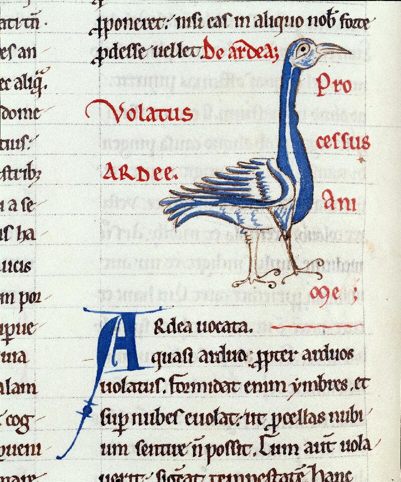 Troyes, Bibl. mun., ms. 0177, f. 155v - vue 2