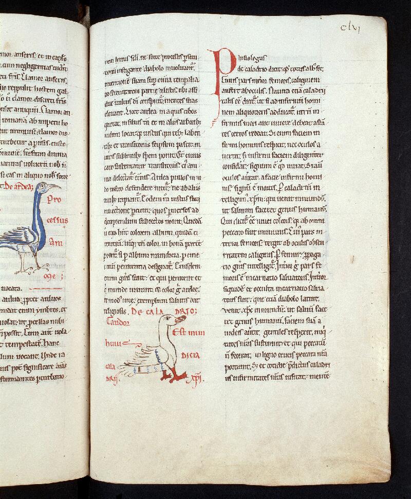 Troyes, Bibl. mun., ms. 0177, f. 156 - vue 1