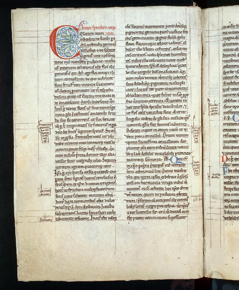 Troyes, Bibl. mun., ms. 0252, f. 002v - vue 1