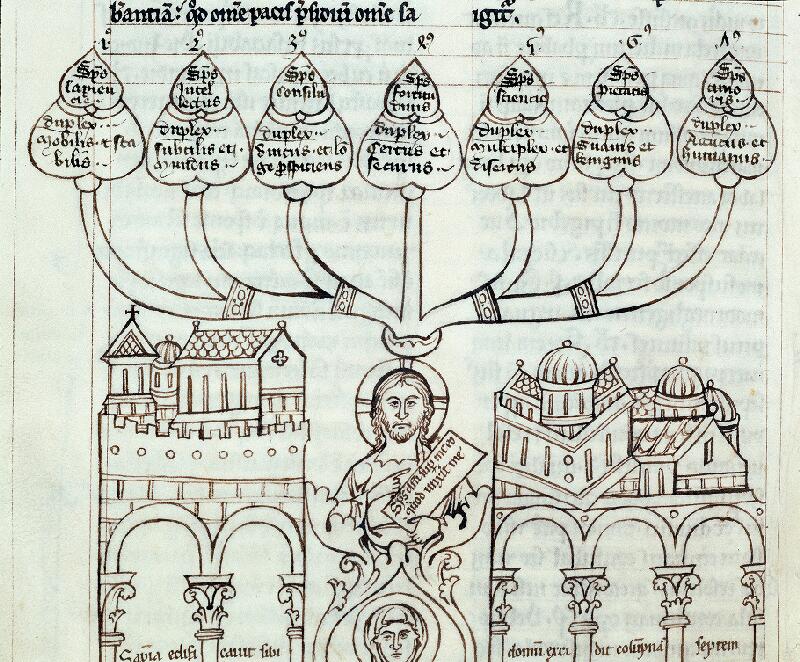 Troyes, Bibl. mun., ms. 0252, f. 113v - vue 2