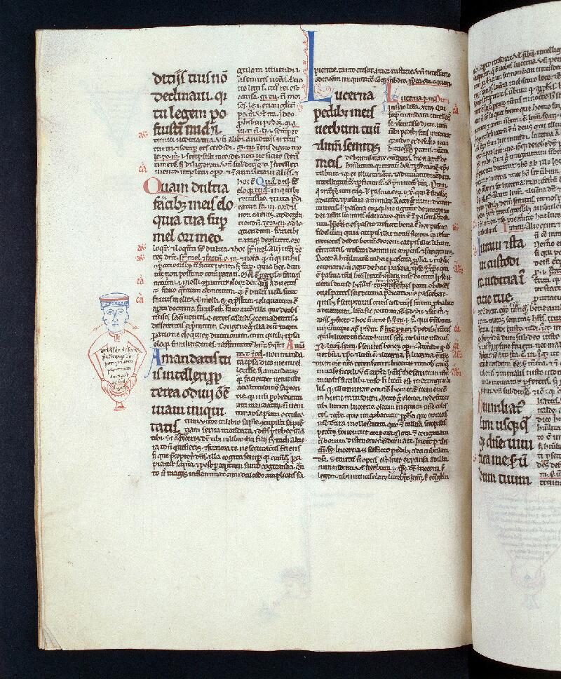 Troyes, Bibl. mun., ms. 0295, f. 198v - vue 1