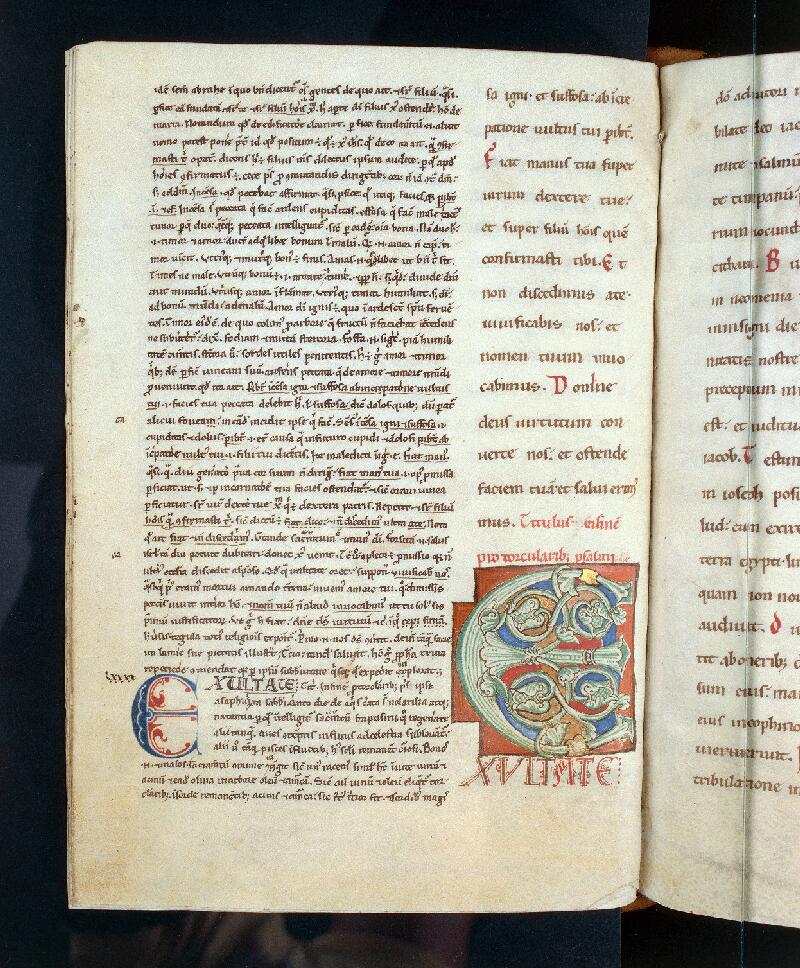 Troyes, Bibl. mun., ms. 0815, f. 124v - vue 1
