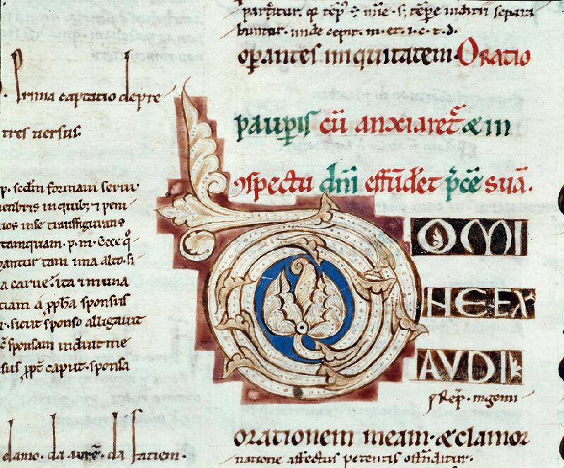 Troyes, Bibl. mun., ms. 0925, f. 161v - vue 2