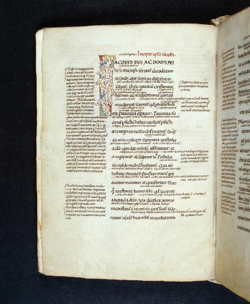 Troyes, Bibl. mun., ms. 1132, f. 001v - vue 1