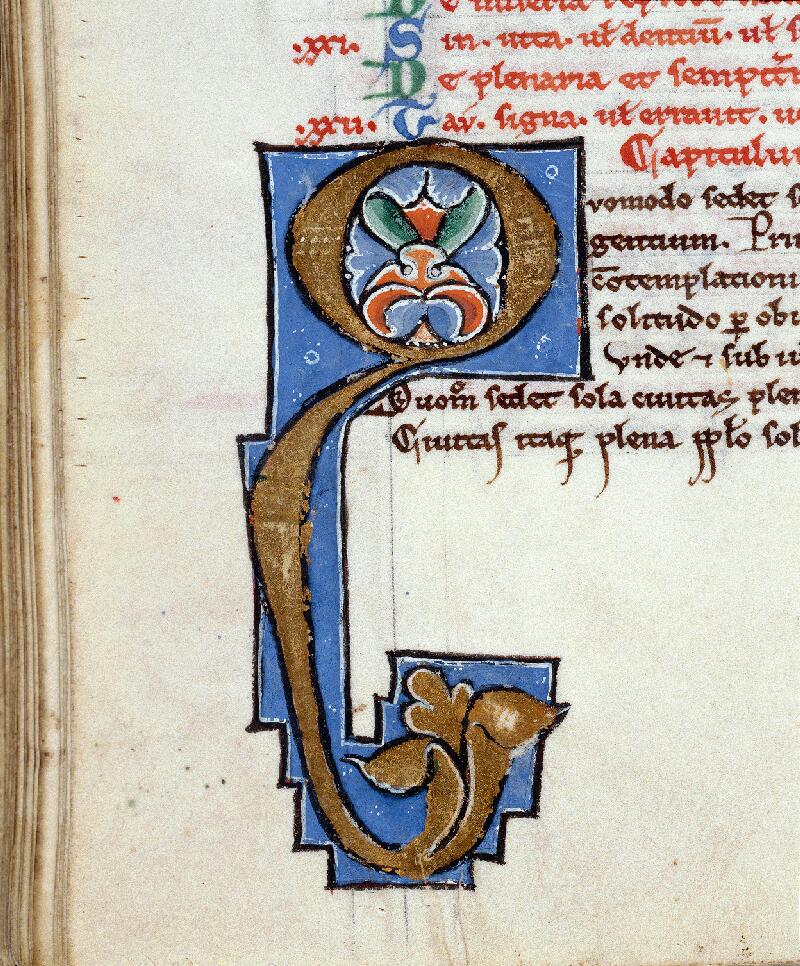Troyes, Bibl. mun., ms. 1439, f. 110v - vue 2