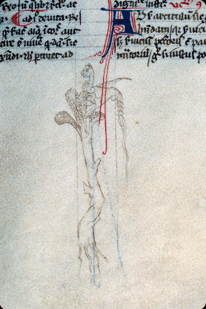 Troyes, Bibl. mun., ms. 0145, f. 044