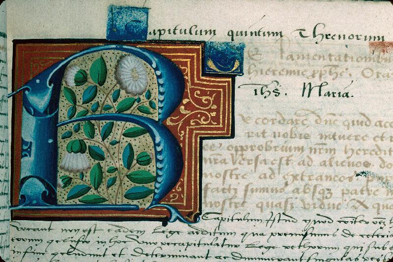 Troyes, Bibl. mun., ms. 1431, t. I, f. 065